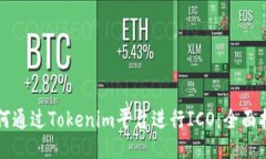 如何通过Tokenim平台进行ICO：全面指南
