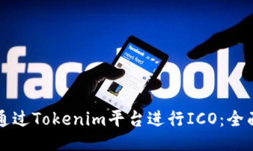 如何通过Tokenim平台进行ICO：全面指南