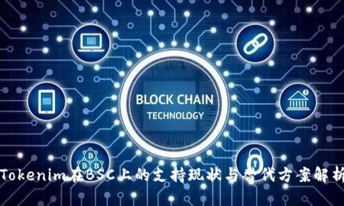 Tokenim在BSC上的支持现状与替代方案解析