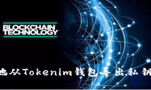 如何安全地从Tokenim钱包导出私钥：完整指南