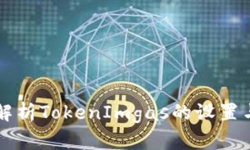 全面解析TokenImgas的设置与应用