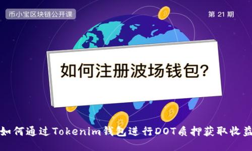 如何通过Tokenim钱包进行DOT质押获取收益
