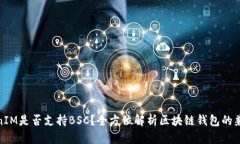 TokenIM是否支持BSC？全方位解析区块链钱包的兼容