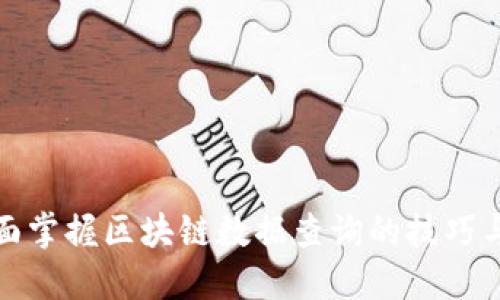 : 全面掌握区块链数据查询的技巧与实践