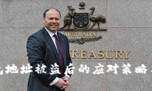 虚拟币钱包地址被盗后的应对策略与防护措施