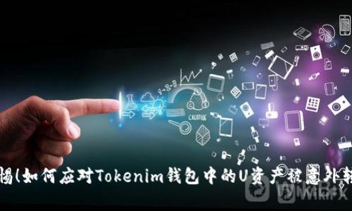 警惕！如何应对Tokenim钱包中的U资产被意外转走