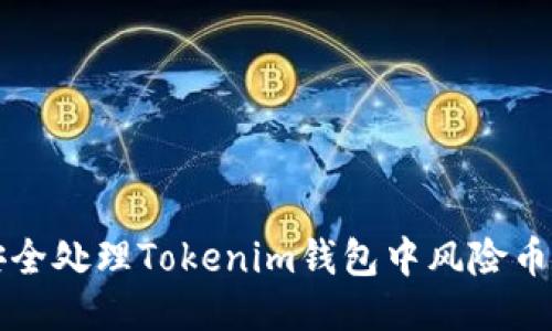 如何安全处理Tokenim钱包中风险币的提示