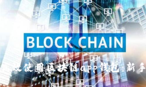如何高效使用区块链app钱包：新手指南