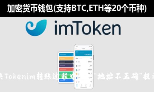 如何解决Tokenim转账过程中出现“地址不正确”提示的问题
