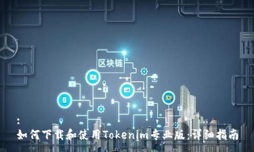 :
如何下载和使用Tokenim专业版：详细指南