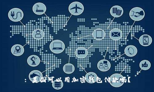 : 美国可以用加密钱包付款吗？