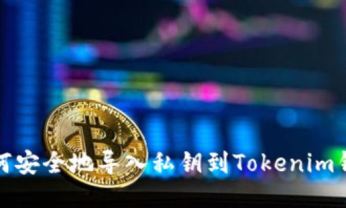 如何安全地导入私钥到Tokenim钱包