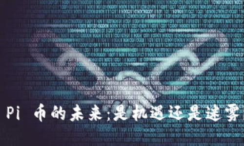  Pi 币的未来：是机遇还是迷雾？
