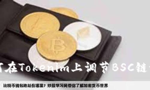 如何在Tokenim上调节BSC链设置