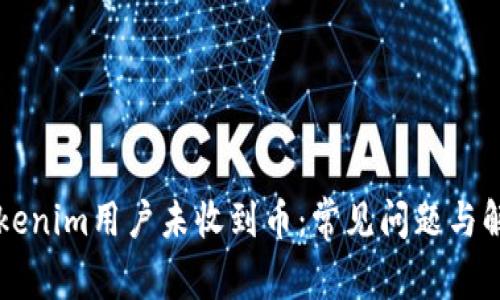 为何Tokenim用户未收到币：常见问题与解决方案