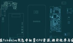 如何在Tokenim钱包中租赁CPU资源，提升效率与安全