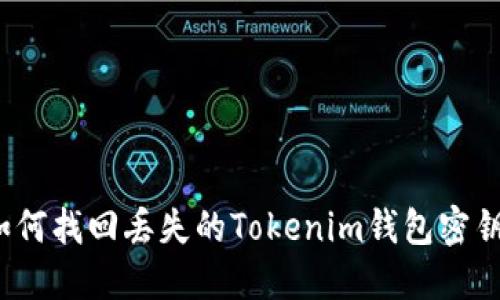 如何找回丢失的Tokenim钱包密钥？