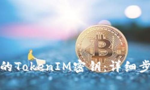 如何找回遗忘的TokenIM密钥：详细步骤与解决方案
