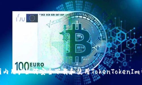 : 国内用户如何安全下载和使用TokenTokenIm钱包