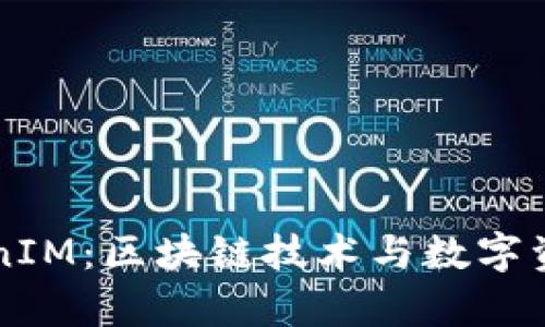 深入解析TokenIM：区块链技术与数字资产管理的未来