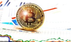 深入解析TokenTokenIM钱包的运行规则及安全机制