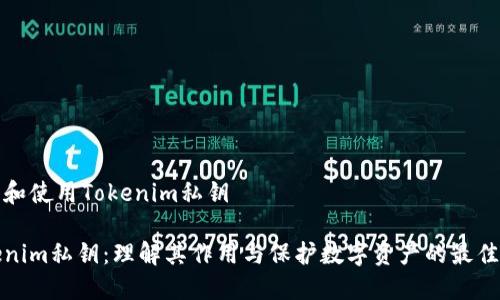 理解和使用Tokenim私钥

Tokenim私钥：理解其作用与保护数字资产的最佳实践