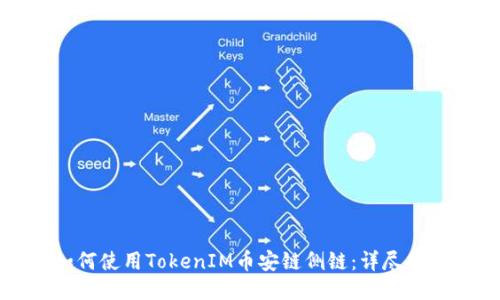 如何使用TokenIM币安链侧链：详尽指南