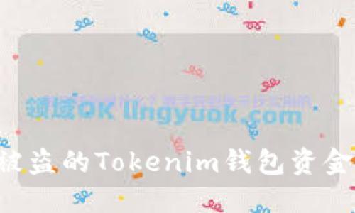 如何追回被盗的Tokenim钱包资金：全面指南