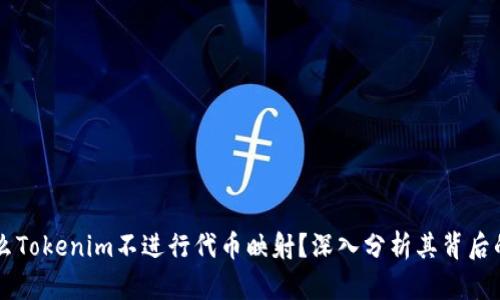 为什么Tokenim不进行代币映射？深入分析其背后的原因
