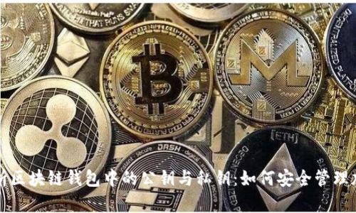 全面解析区块链钱包中的公钥与私钥：如何安全管理加密资产