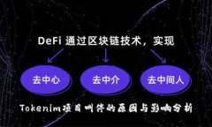 Tokenim项目叫停的原因与影响分析