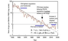 美国数字身份钱包：未来身份认证的革命性解决