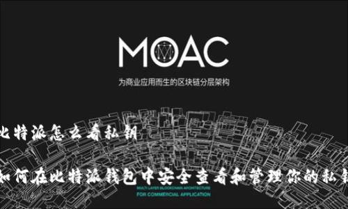 比特派怎么看私钥

如何在比特派钱包中安全查看和管理你的私钥