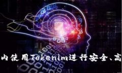 如何在国内使用Tokenim进行安全、高效的转账