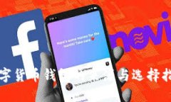 数字货币钱包的来源与选择指南