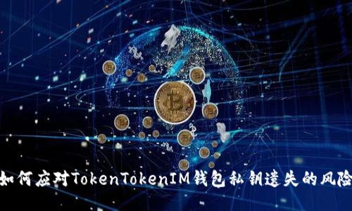 如何应对TokenTokenIM钱包私钥遗失的风险