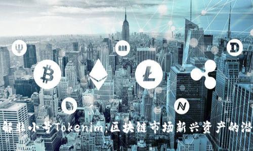 : 深入理解非小号Tokenim：区块链市场新兴资产的潜力与应用