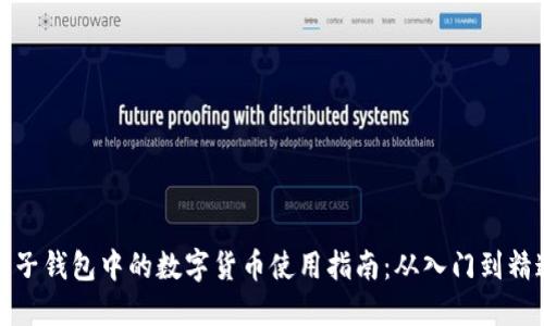 电子钱包中的数字货币使用指南：从入门到精通