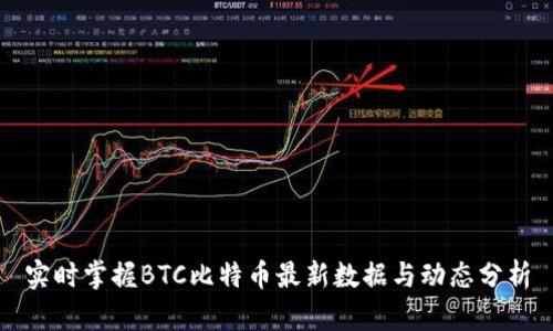 实时掌握BTC比特币最新数据与动态分析