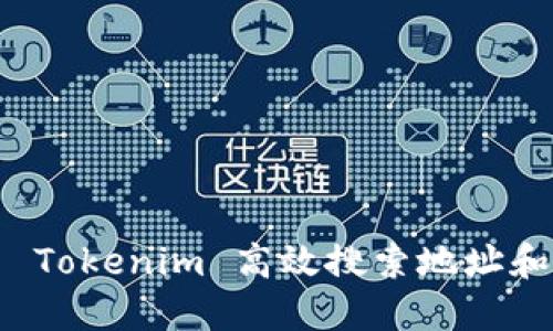 如何使用 Tokenim 高效搜索地址和交易信息