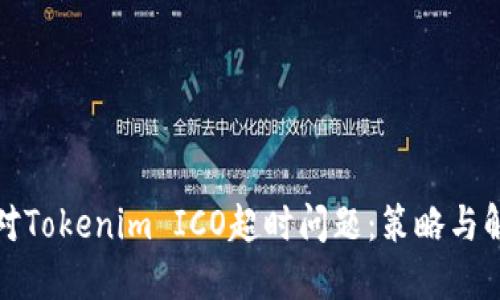 如何应对Tokenim ICO超时问题：策略与解决方案