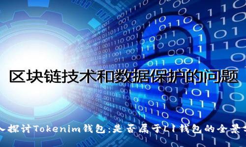 深入探讨Tokenim钱包：是否属于L1钱包的全景分析