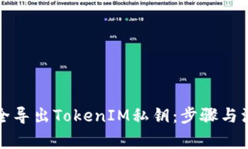 如何安全导出TokenIM私钥：步骤与注意事项