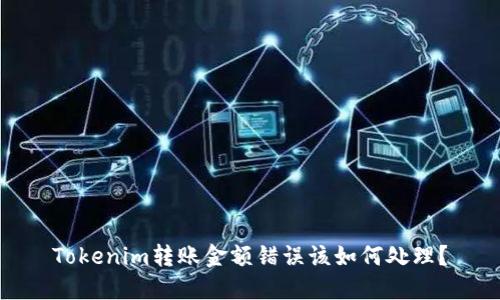 Tokenim转账金额错误该如何处理？