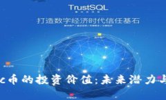 解析Matic币的投资价值：未来潜力与风险评估