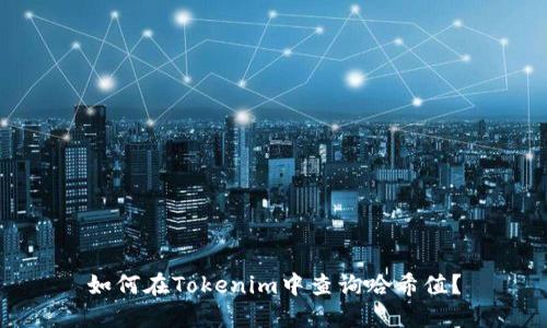 如何在Tokenim中查询哈希值？