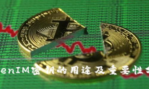 TokenIM密钥的用途及重要性分析
