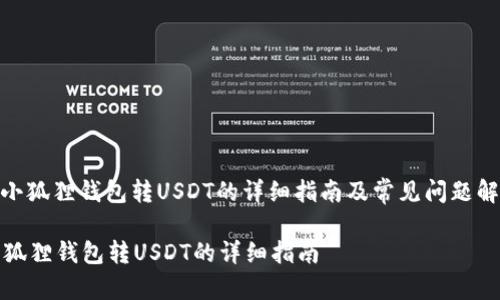: 小狐狸钱包转USDT的详细指南及常见问题解答

小狐狸钱包转USDT的详细指南